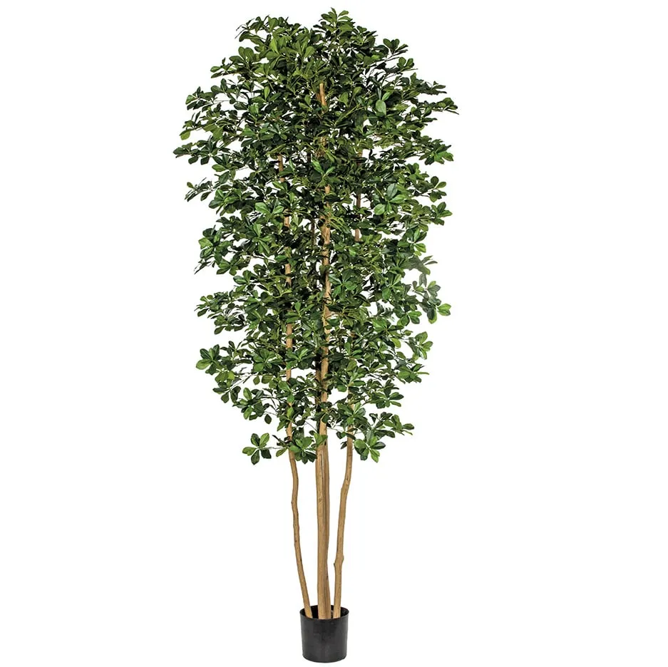 10' Silk Black Olive Tree w/Pot -Green