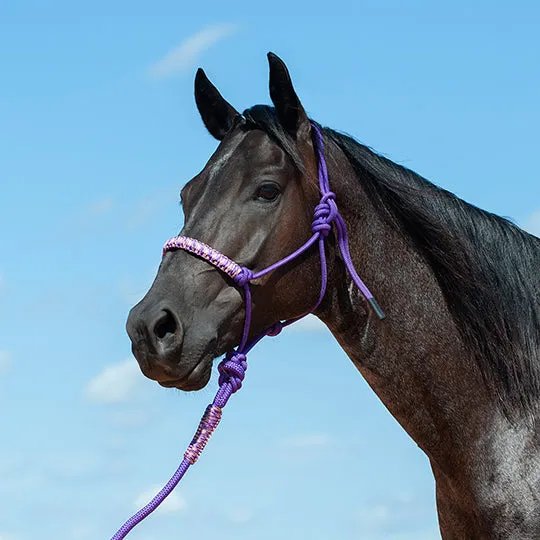 Cashel Braided Rope Nose Halter with Lead Rope - Purple Camo