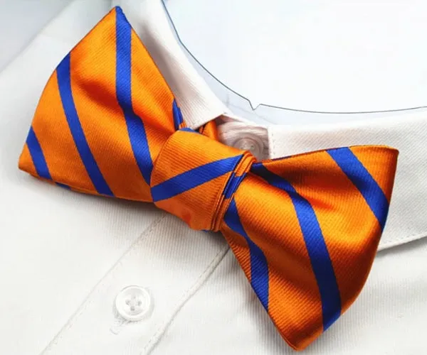 Classy Men Orange Blue Silk Self-Tie Bow Tie