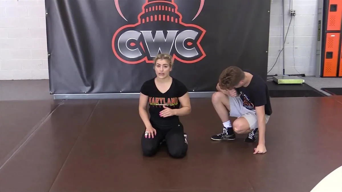 Flipping The Switch by Helen Maroulis