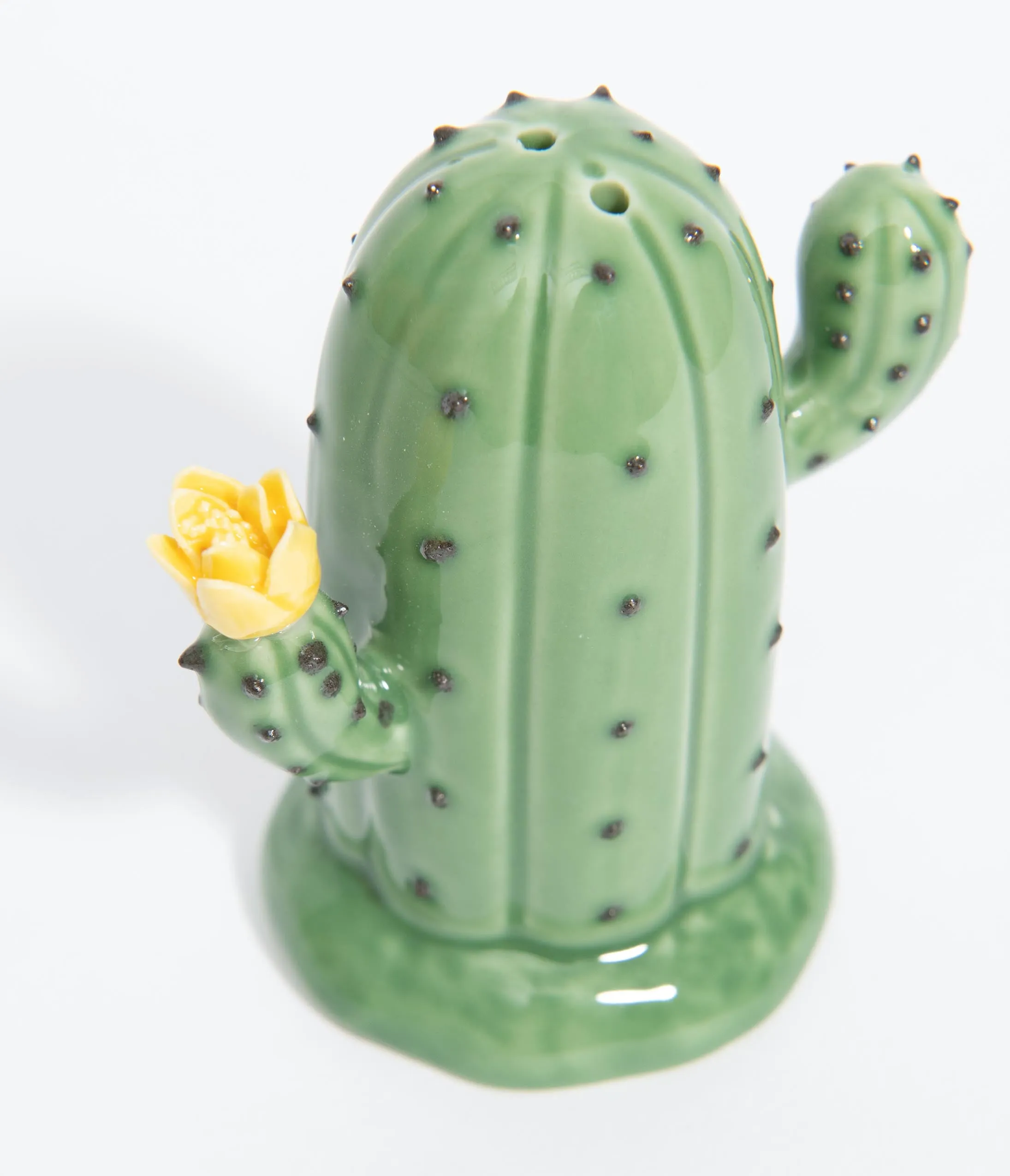 Green Cacti Salt & Pepper Shaker Set