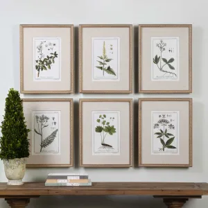 Green Floral Botanical Study Prints Set of 6