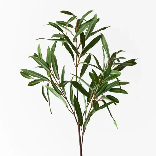 Olive Leaf Spray Green