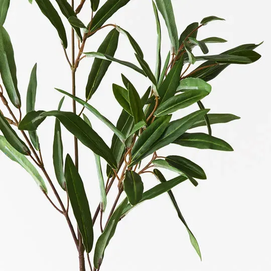 Olive Leaf Spray Green