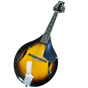 Rogue RM100A Mandolin (No Case)